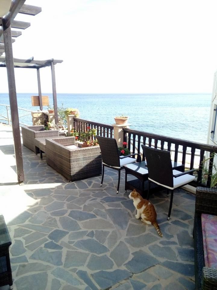 Coral Front Beach Káto Zákros エクステリア 写真
